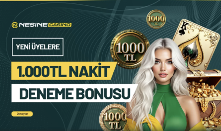 nesinecasino kimlik