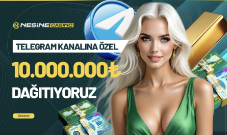 nesinecasino altyapısı