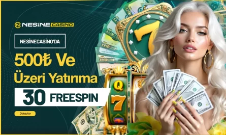nesinecasino giriş adresi